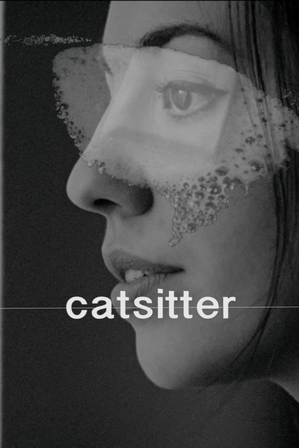Catsitter
