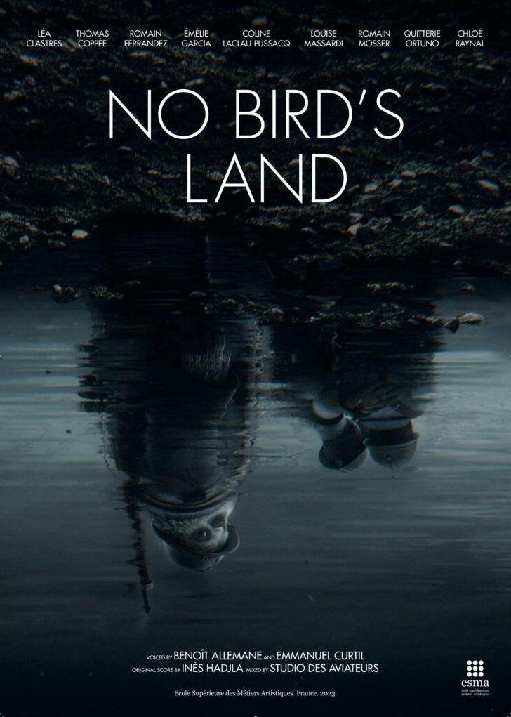 No bird's land