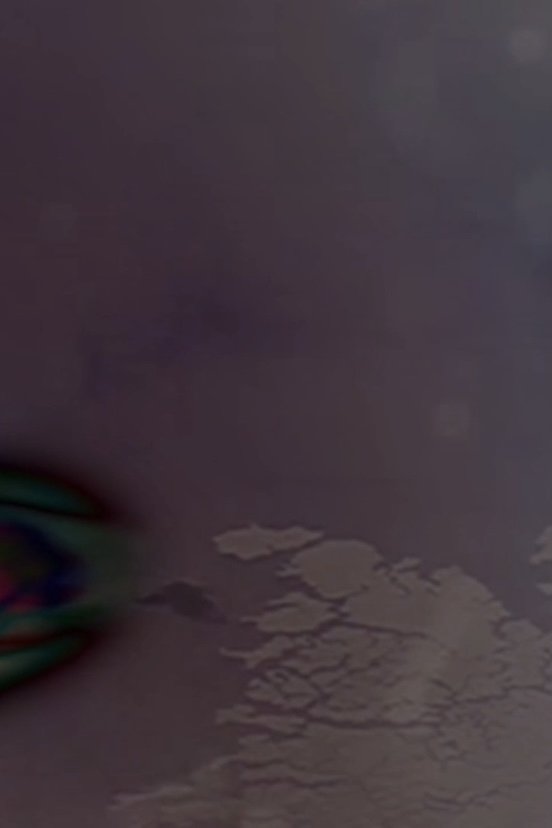 04 30 0018