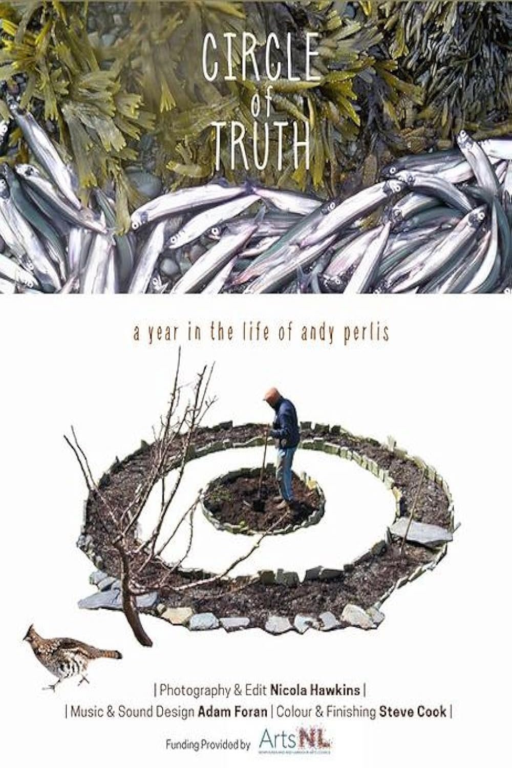Circle of Truth