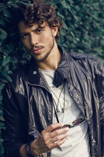 Julio Fernandes image