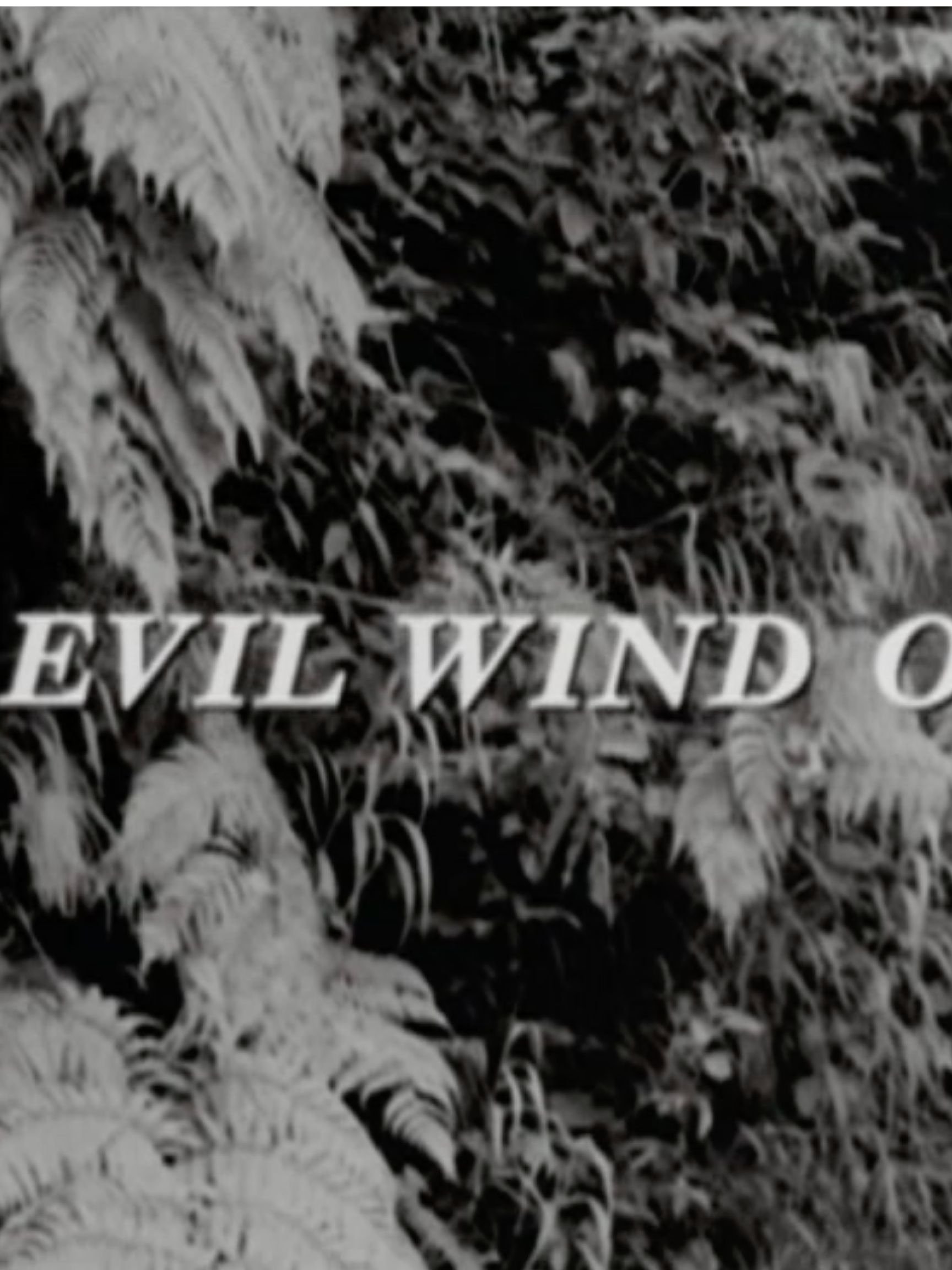 Evil Wind Out