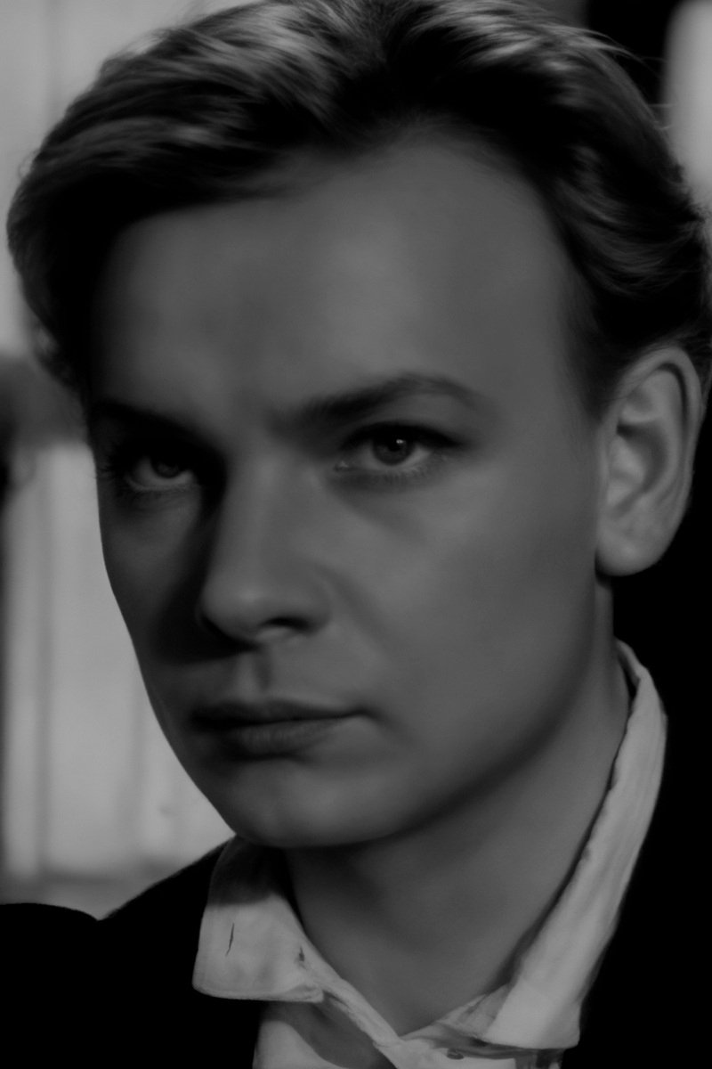 Vladimir Korovin image