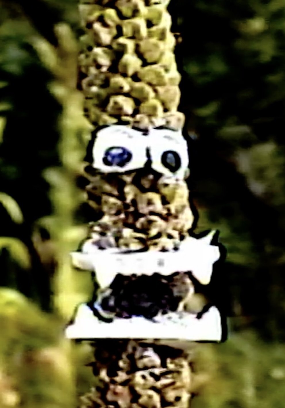 The Sword of Mullein