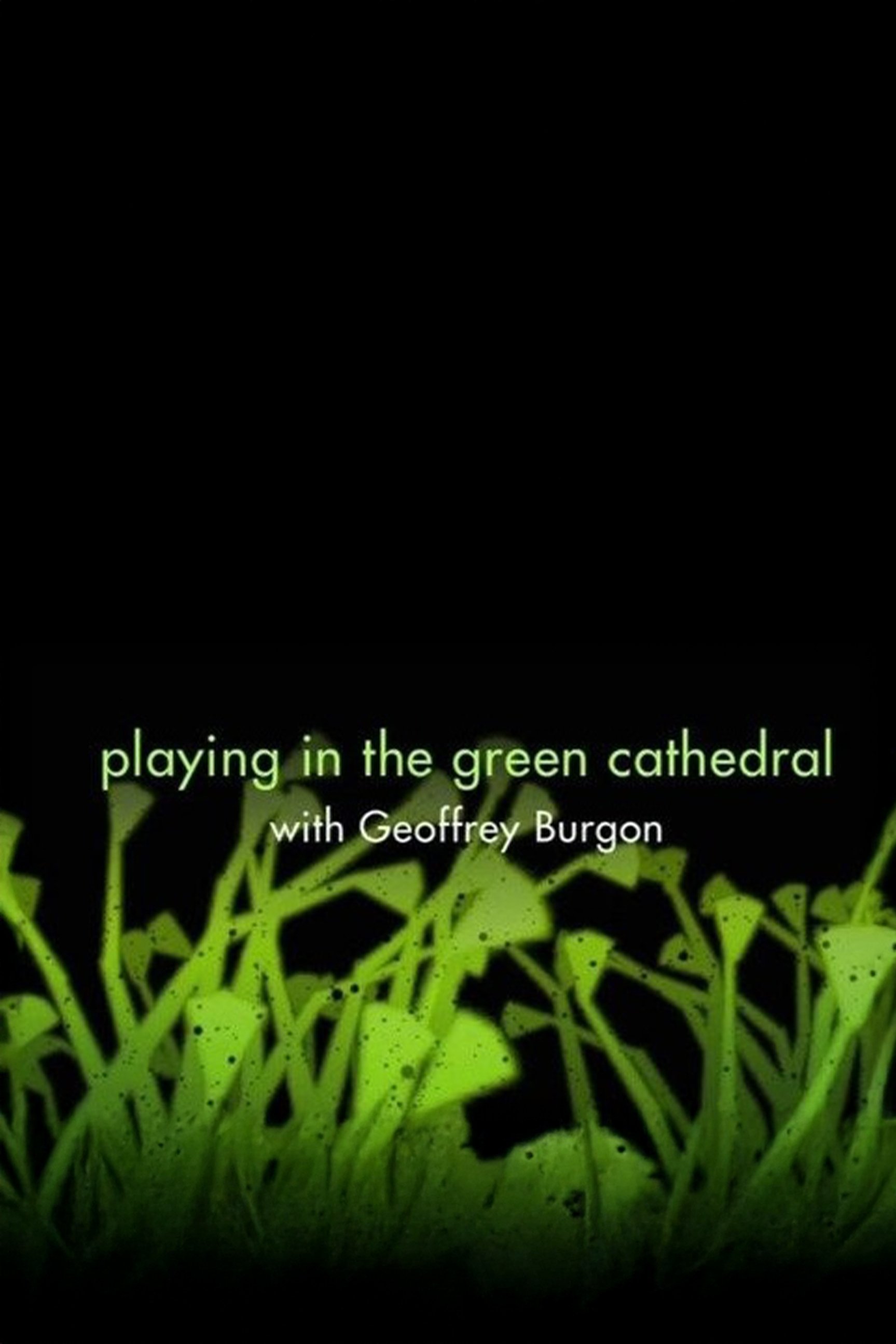 Playing in the Green Cathedral
