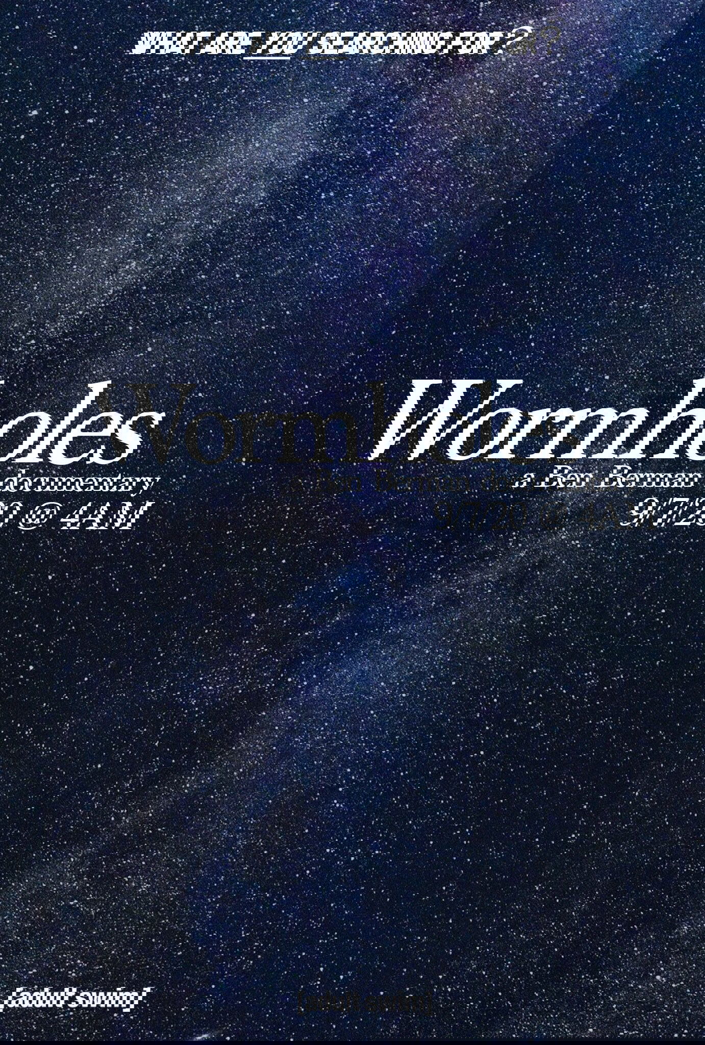 Wormholes