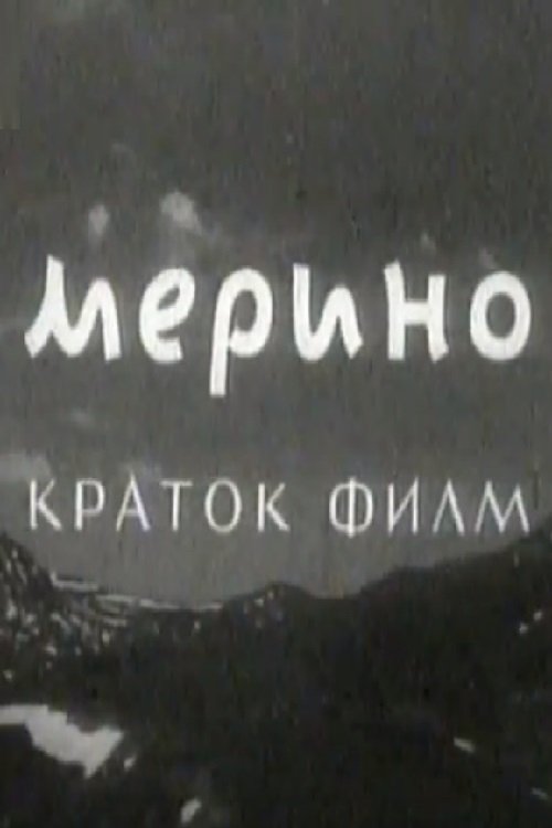 Merino