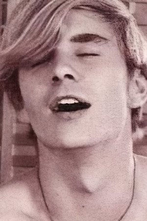 Terry image