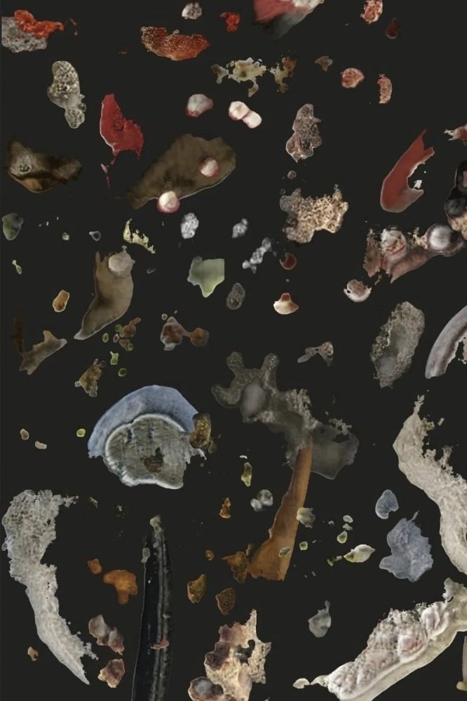 AI Mold Garden
