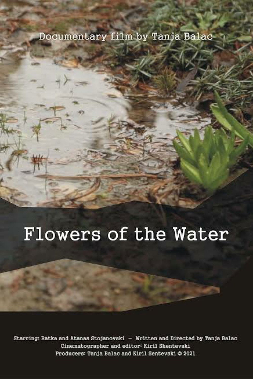 Flowers of the Water