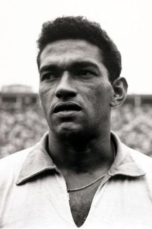 Garrincha image