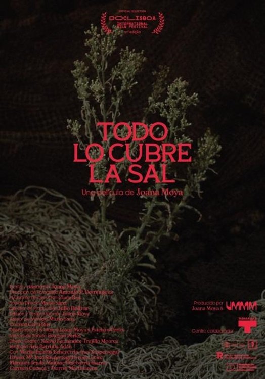Todo lo cubre la sal