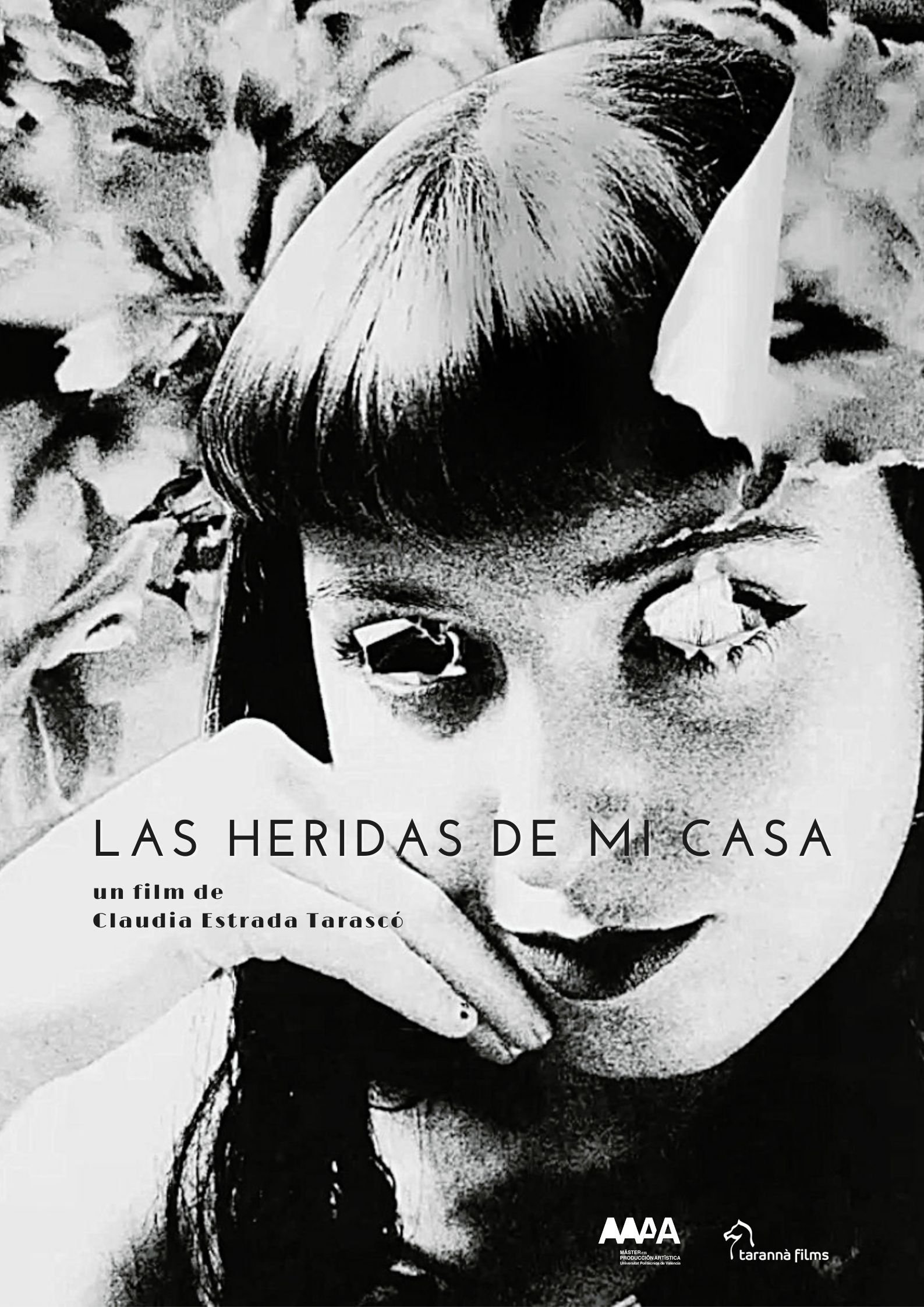 Las heridas de mi casa