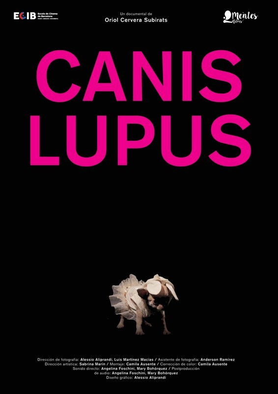 Canis lupus