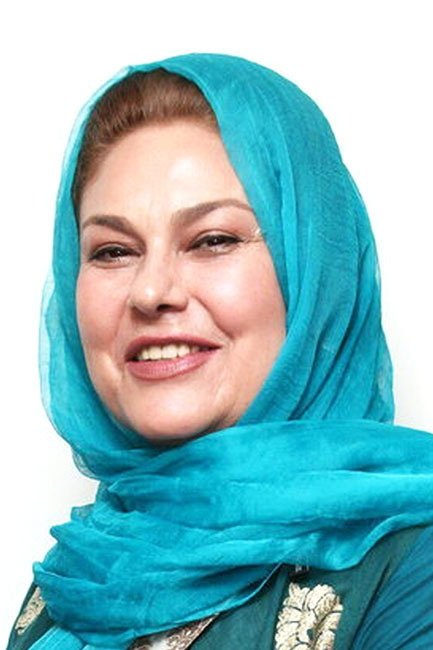 Mehraneh Mahintorabi image