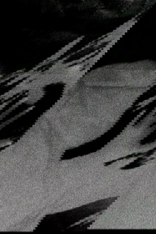 METAMORPHOSE