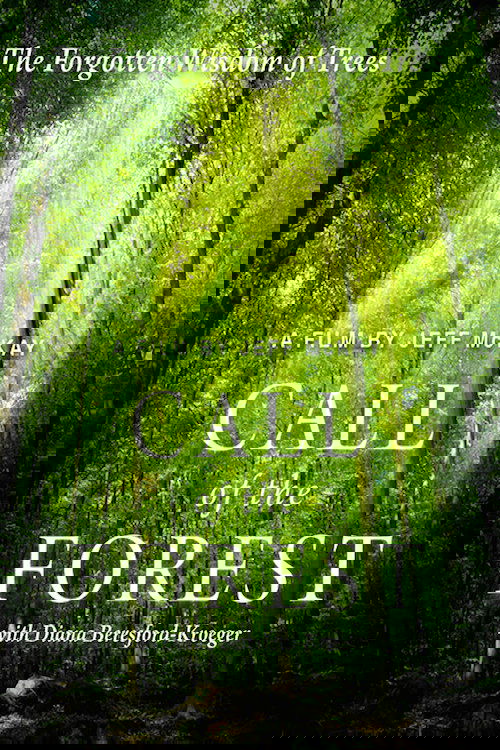 Call of the Forest: The Forgotten Wisdom of Trees