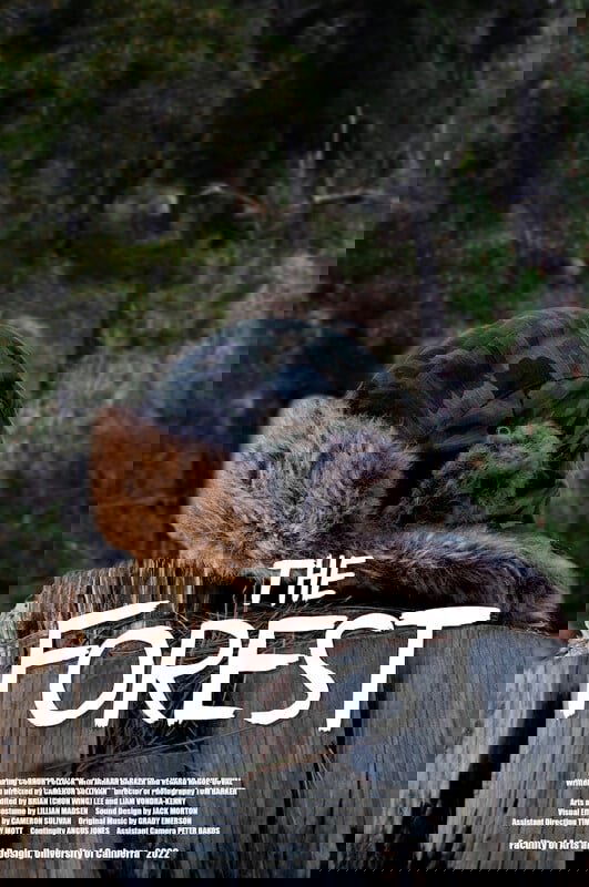 The Forest