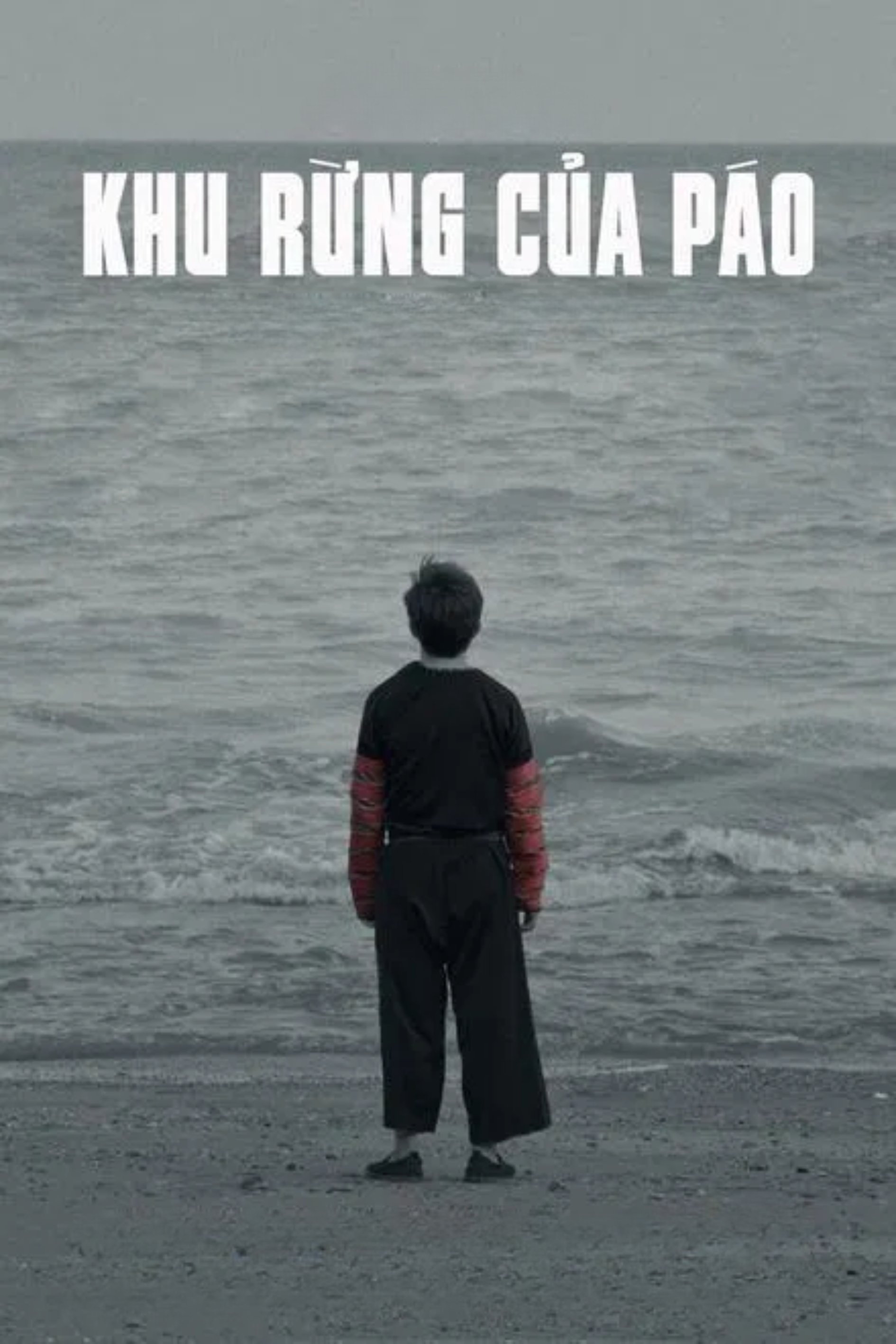 Pao's Forest