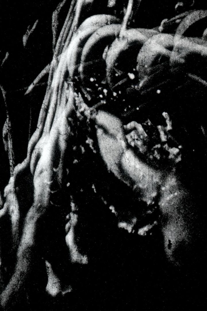 Traces