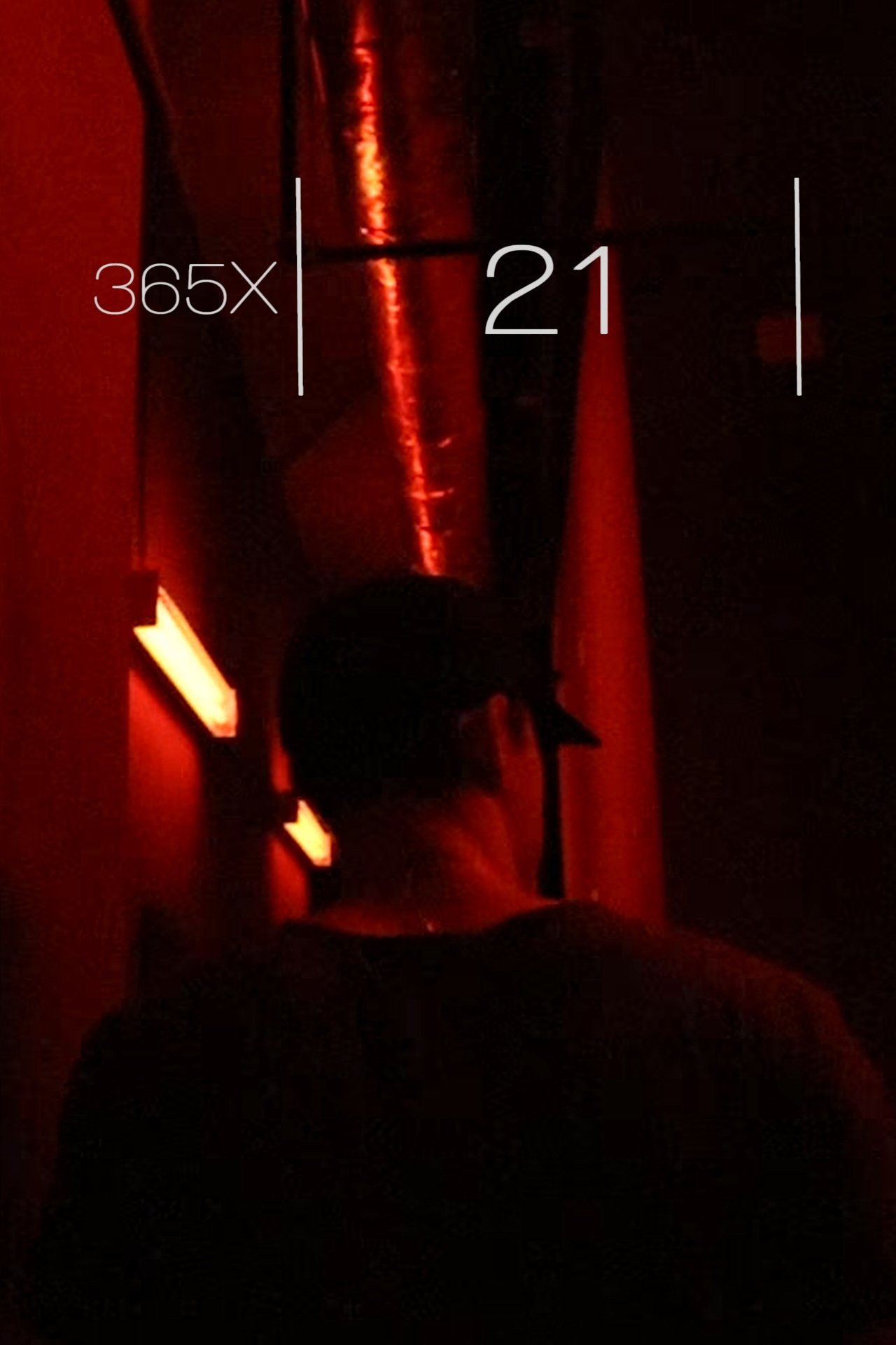 365x: 21