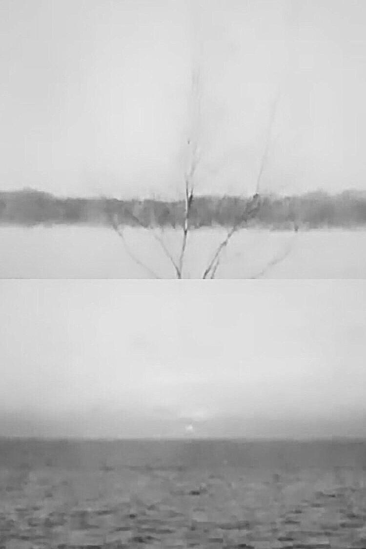 EVE