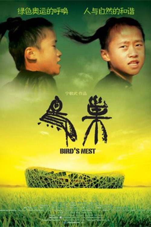 Bird's Nest