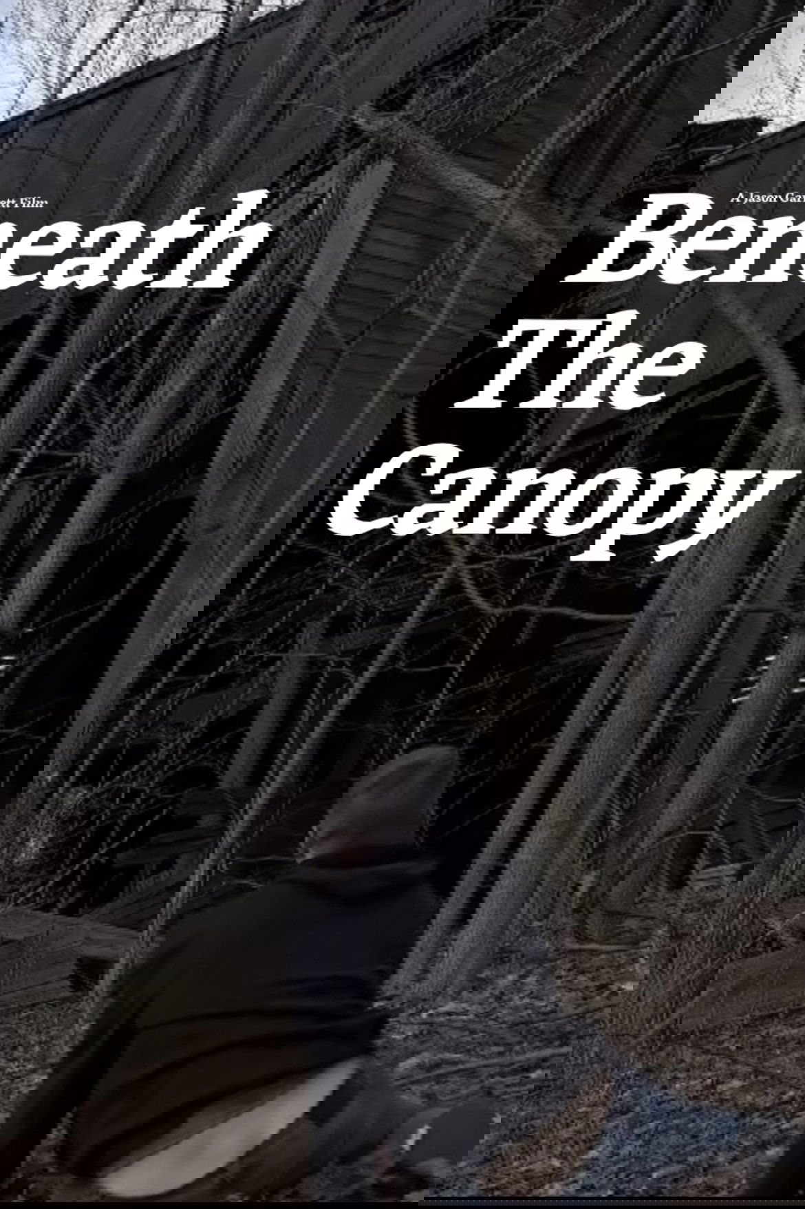 Beneath the Canopy