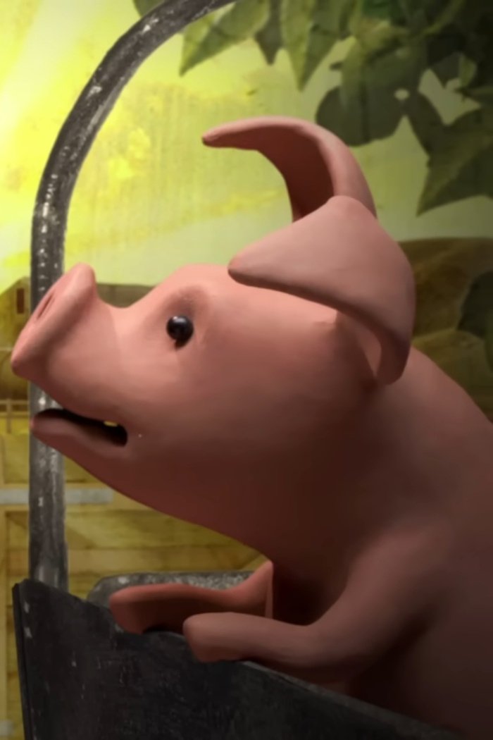 A Pig's Tail