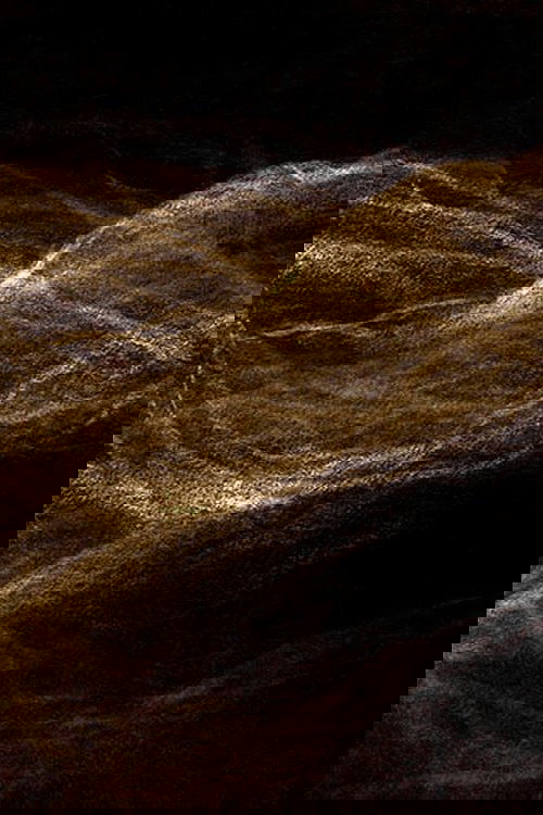 Trackless Lines