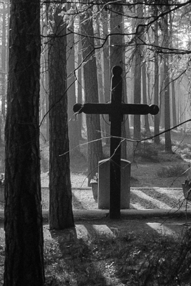 Piasnica Forest