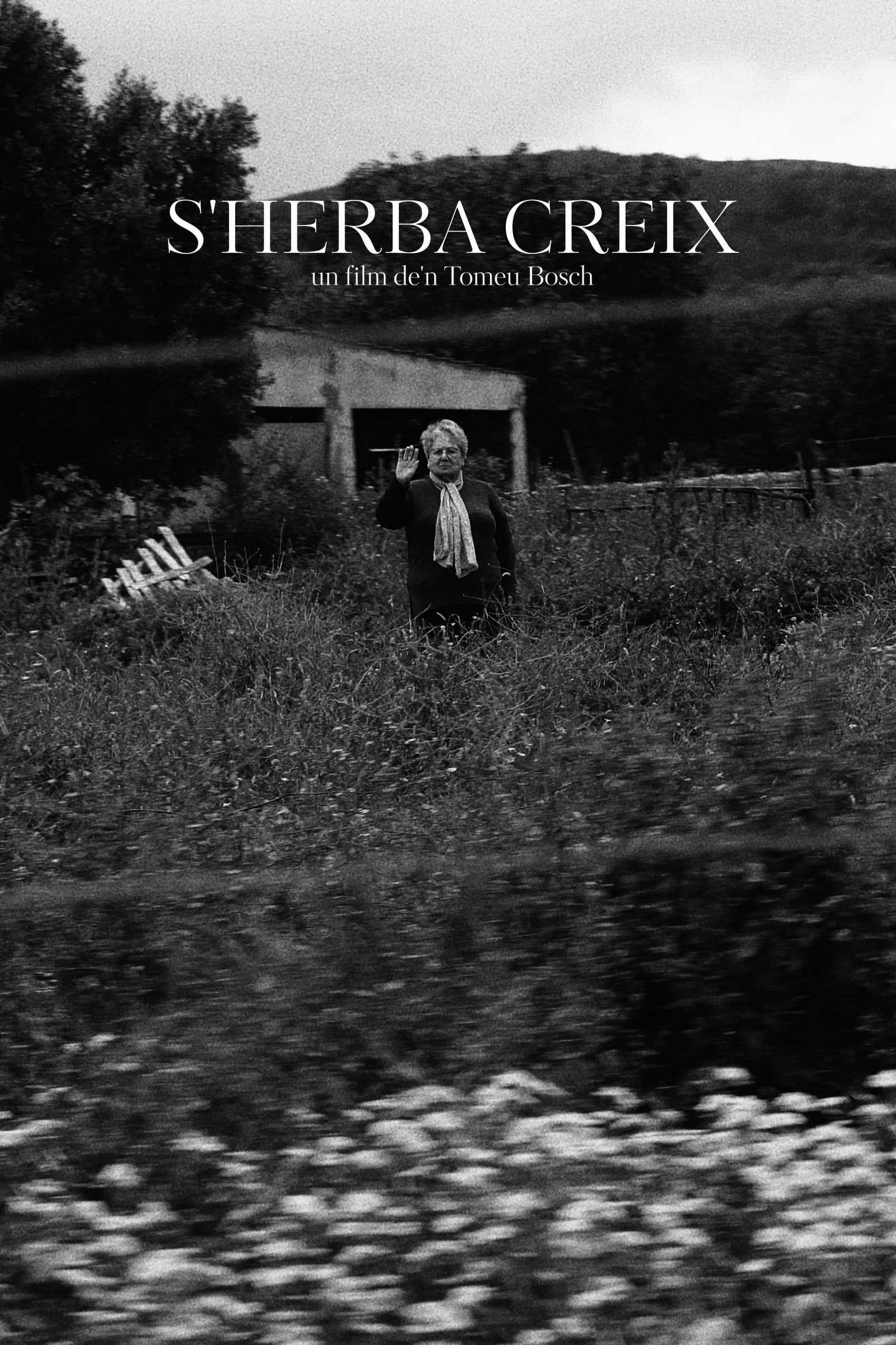 S'Herba Creix
