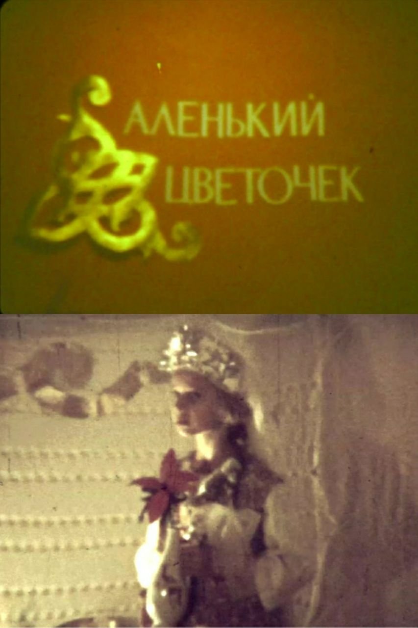 The Scarlet Flower