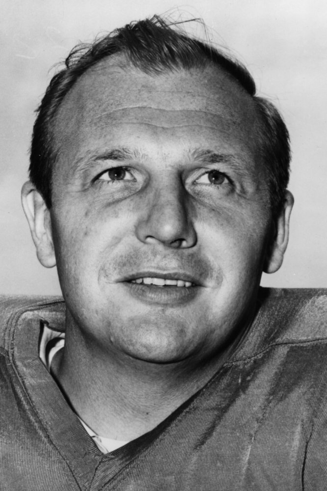 Joe Schmidt image