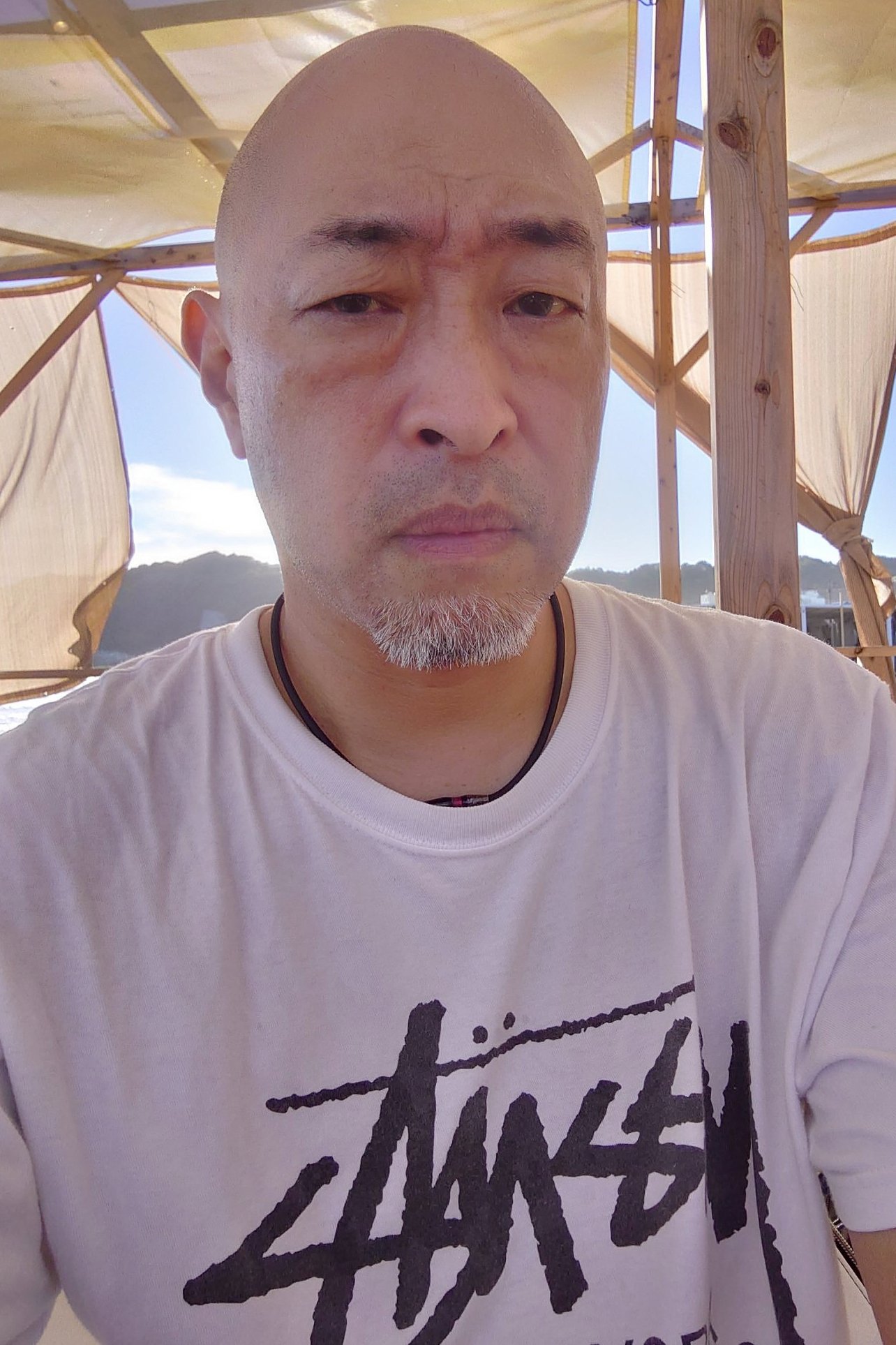 Chintarou Sakurai image