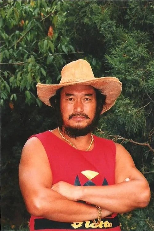 Jia Shitou image
