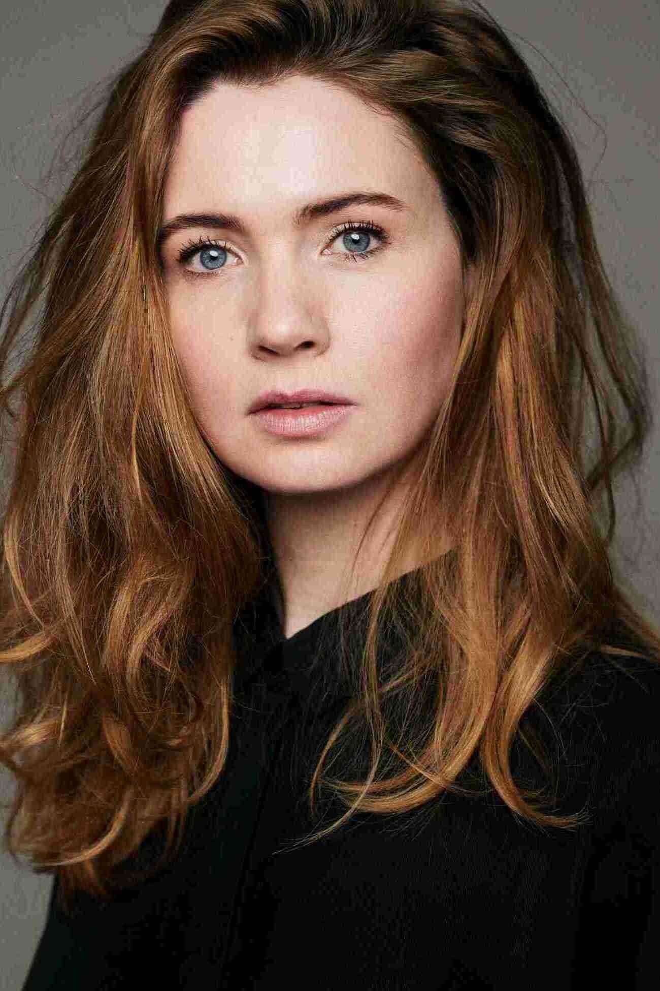 Beaudil Elzenga image