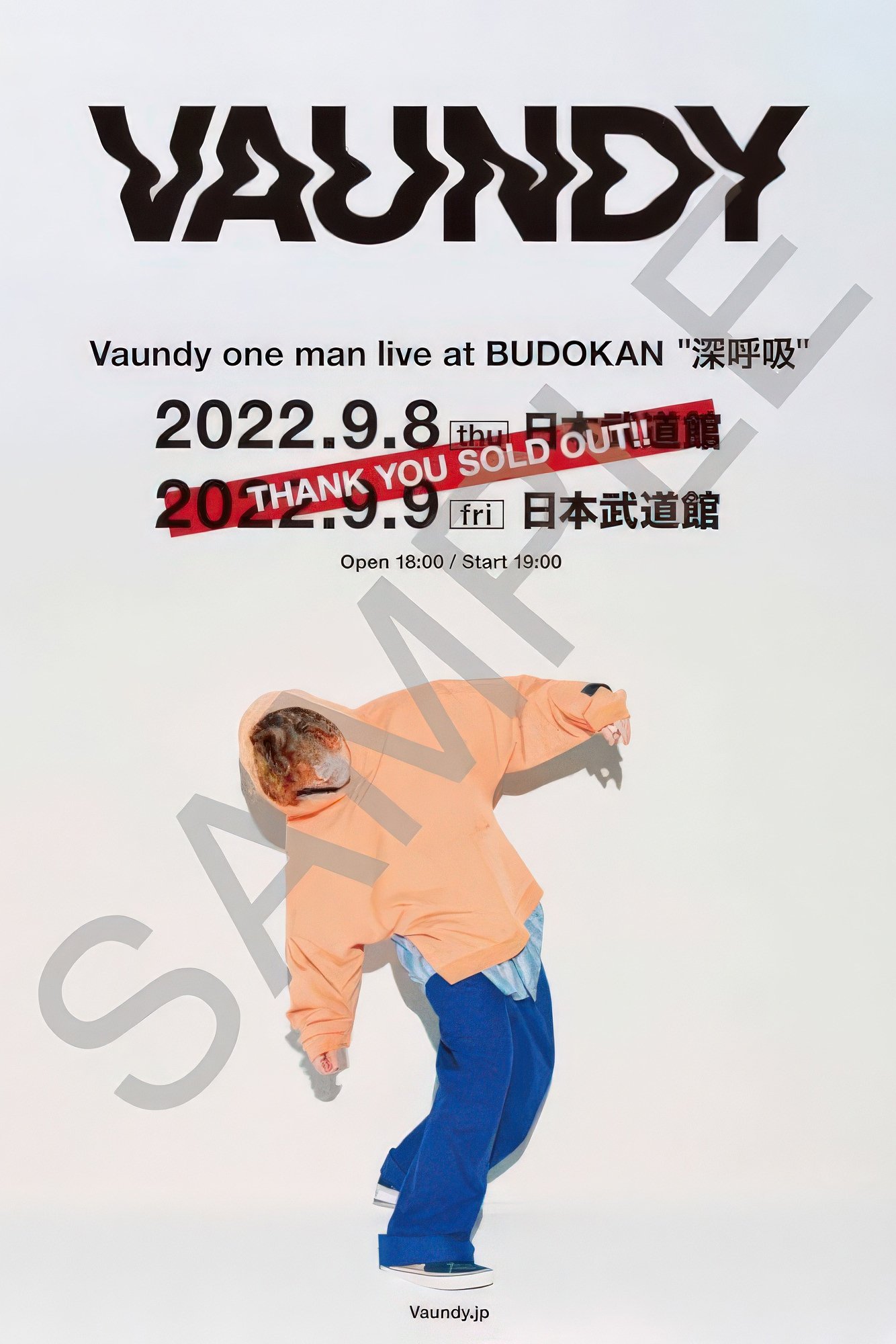 Vaundy one man live at NIPPON BUDOKAN "深呼吸"