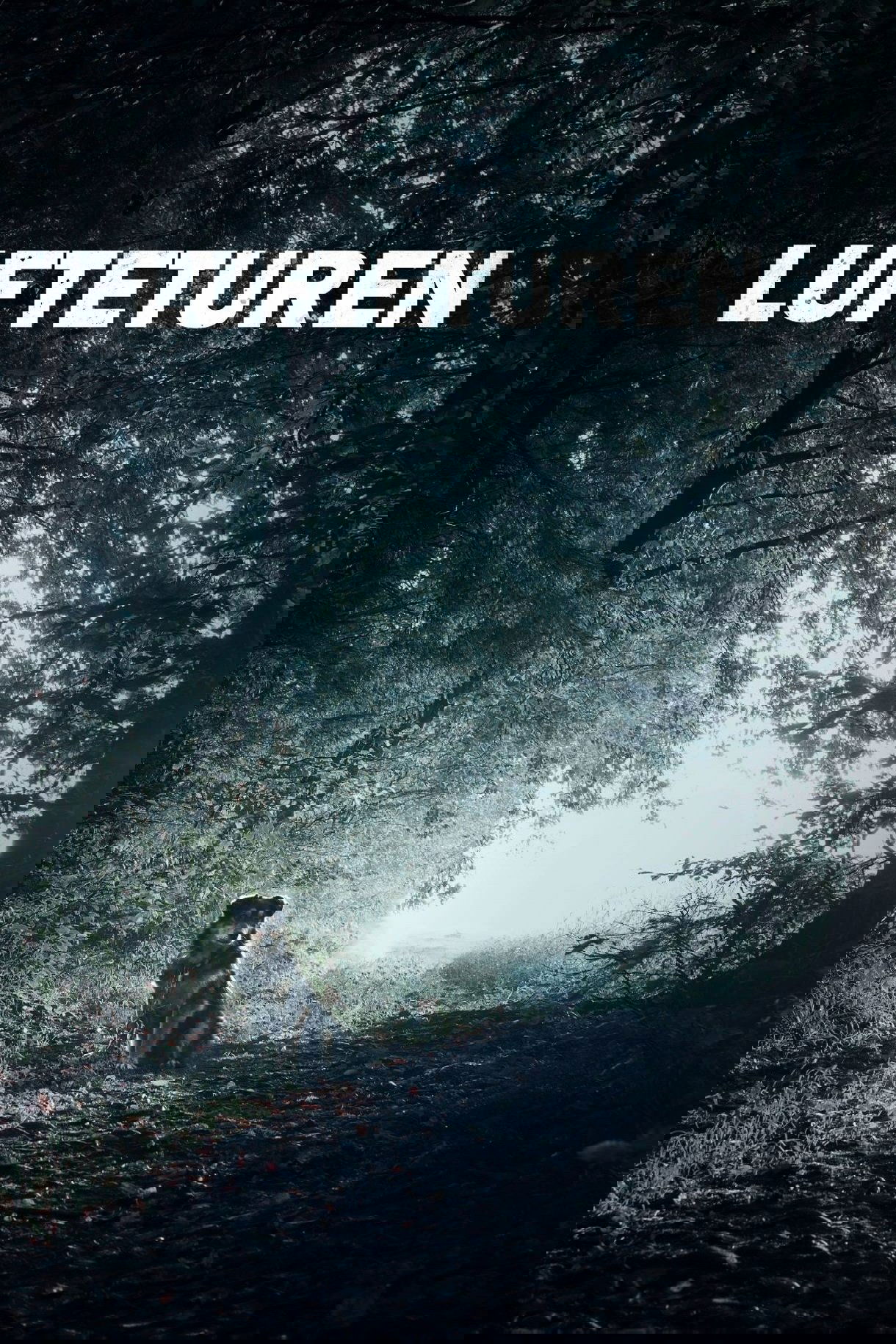 Lufteturen