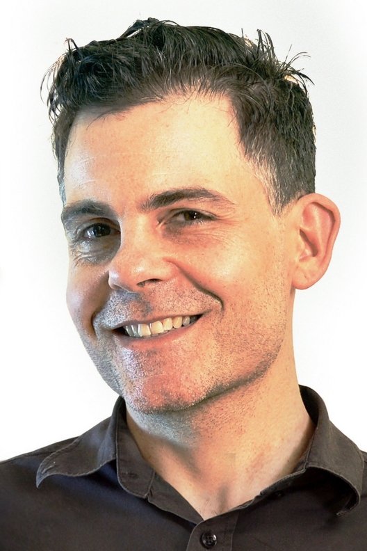 David Hanson image