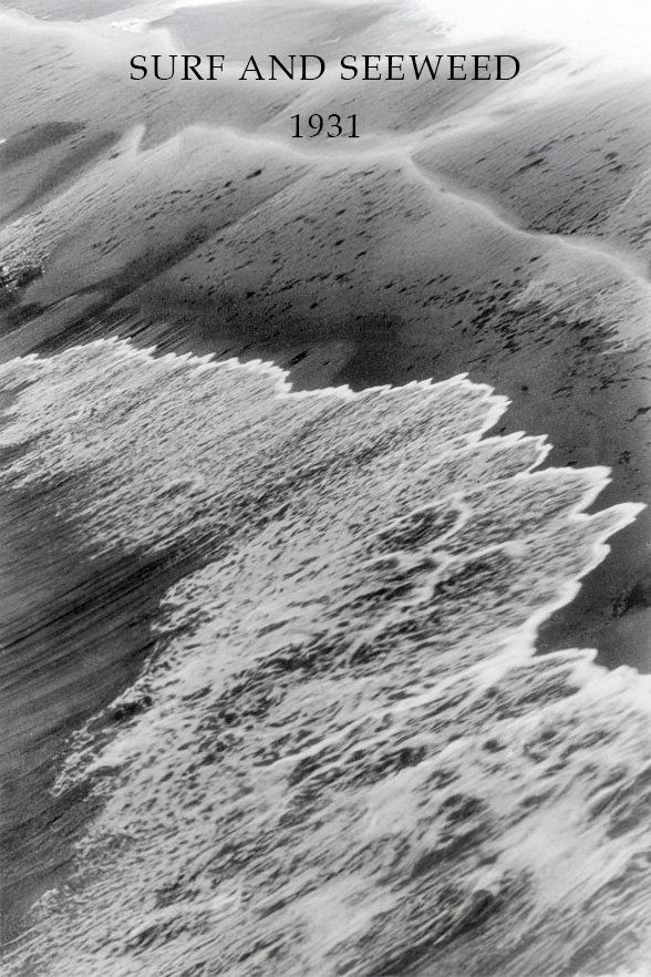 Surf and Seaweed