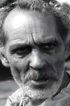 Nikolay Doychev image