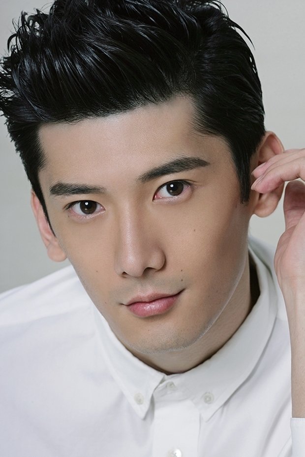 Liu Ruilin image