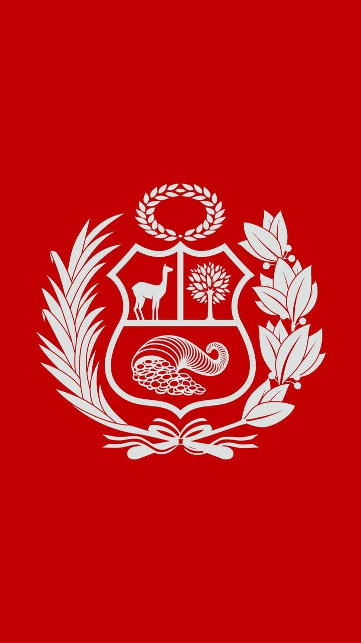 The Peruvian Post PFP