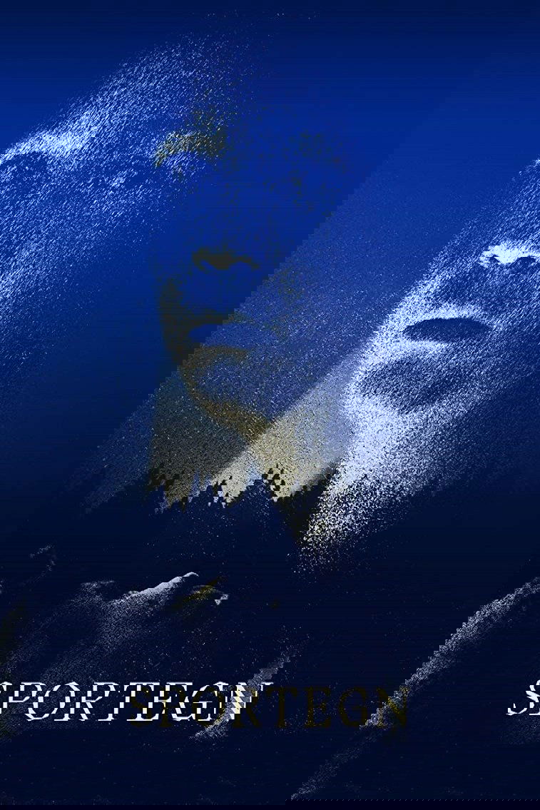 Traces