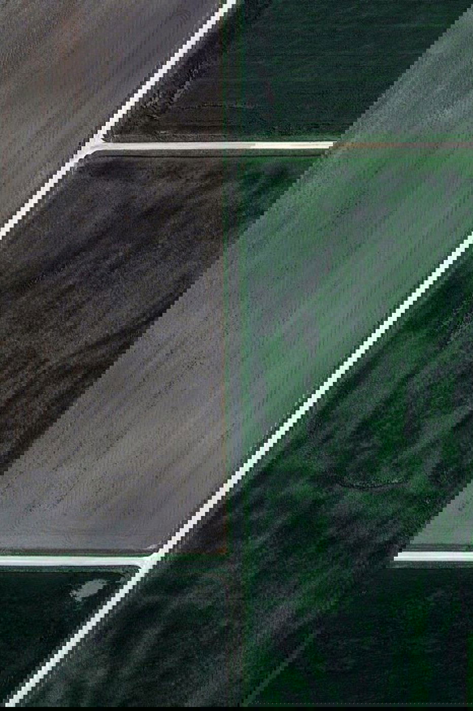 Grid Corrections