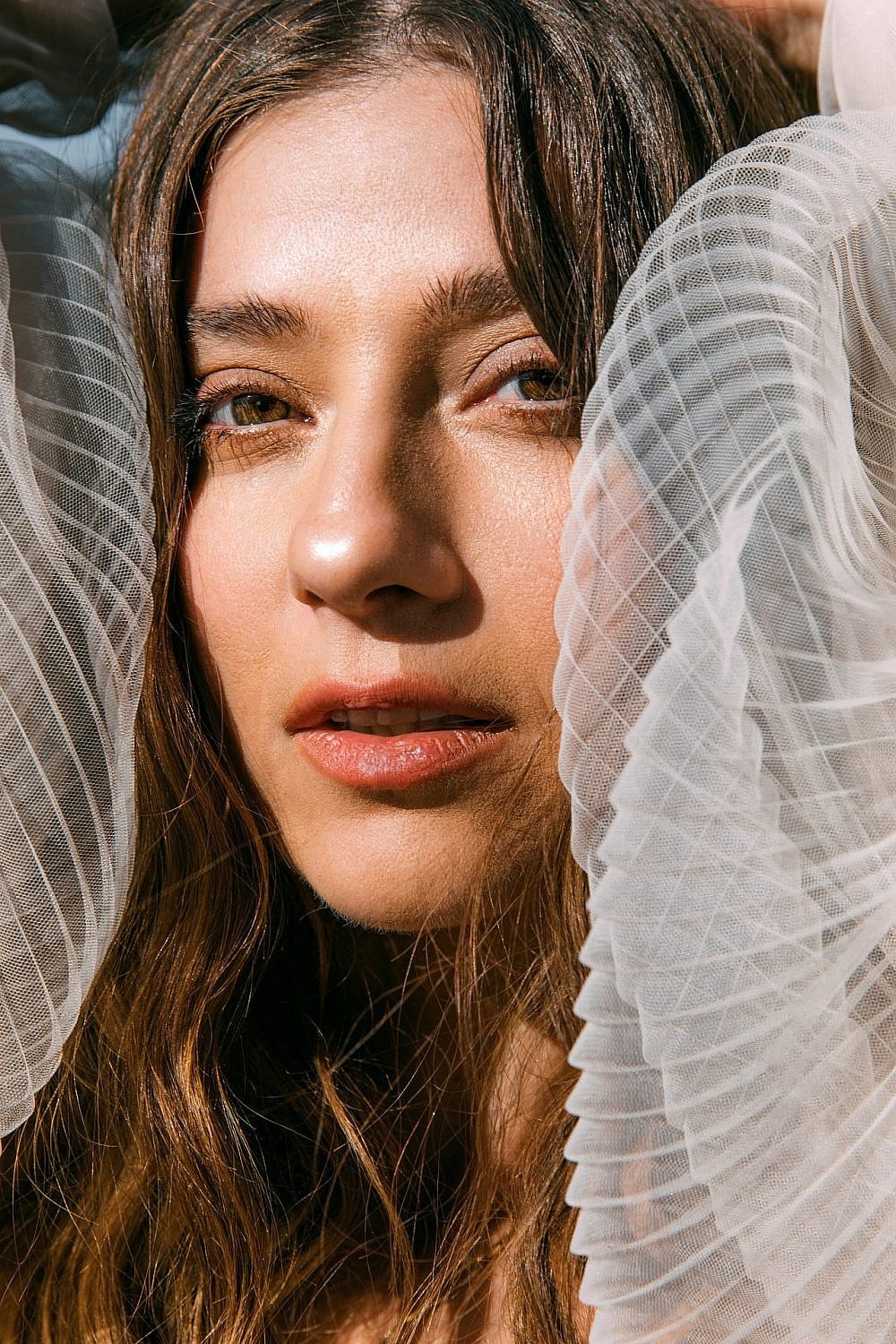 Gala Kogan image