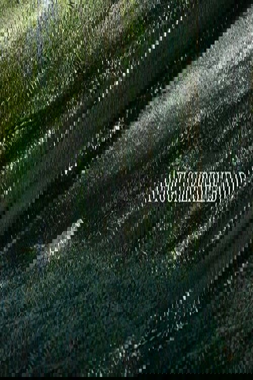 Figurehead