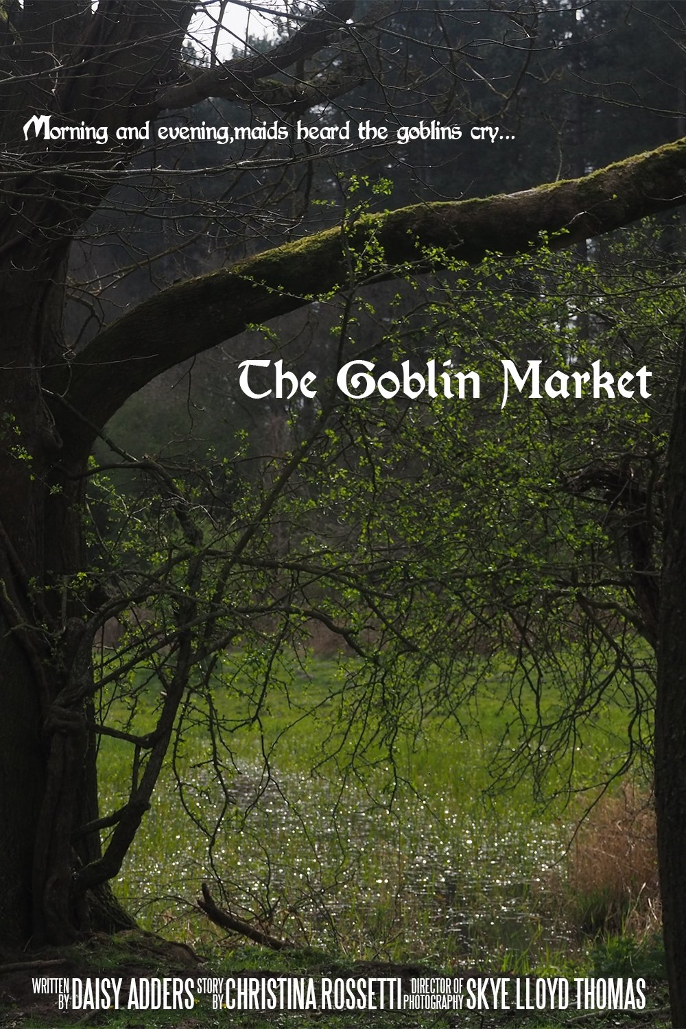 The Goblin Market