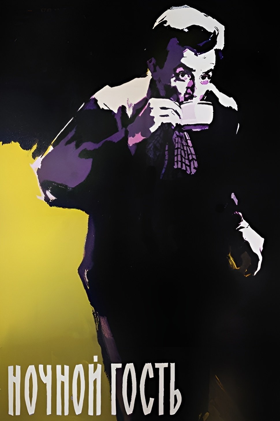 The Night Guest